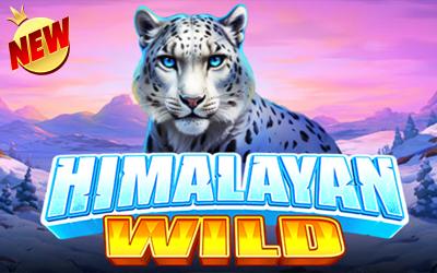 Himalayan Wild